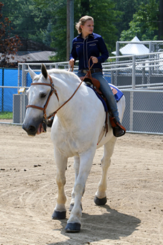 The Cuyahoga County Fair Horse Show