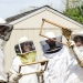Keeping Bees in My Backyard - Beekeeping