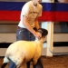 Wool Carding - A 4-H Dare to Explore Event