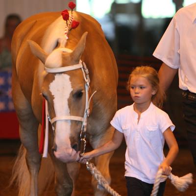 4-H Horse Expo